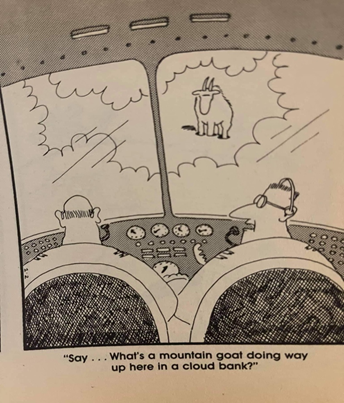 image-png-Nov-01-2021-02-50-50-22-AM